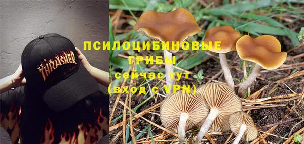 ешки Покров
