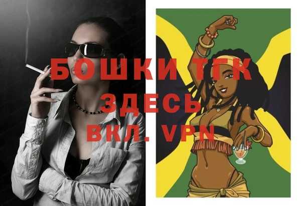 гашик Пестово