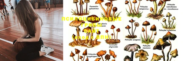 молекула духа Покровск