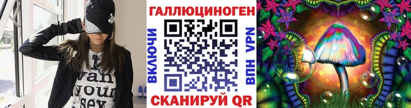 где продают   Кремёнки  Псилоцибиновые грибы Psilocybe 